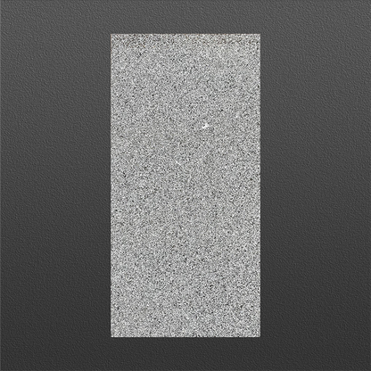 Granite Sesame Black 400x800x20mm