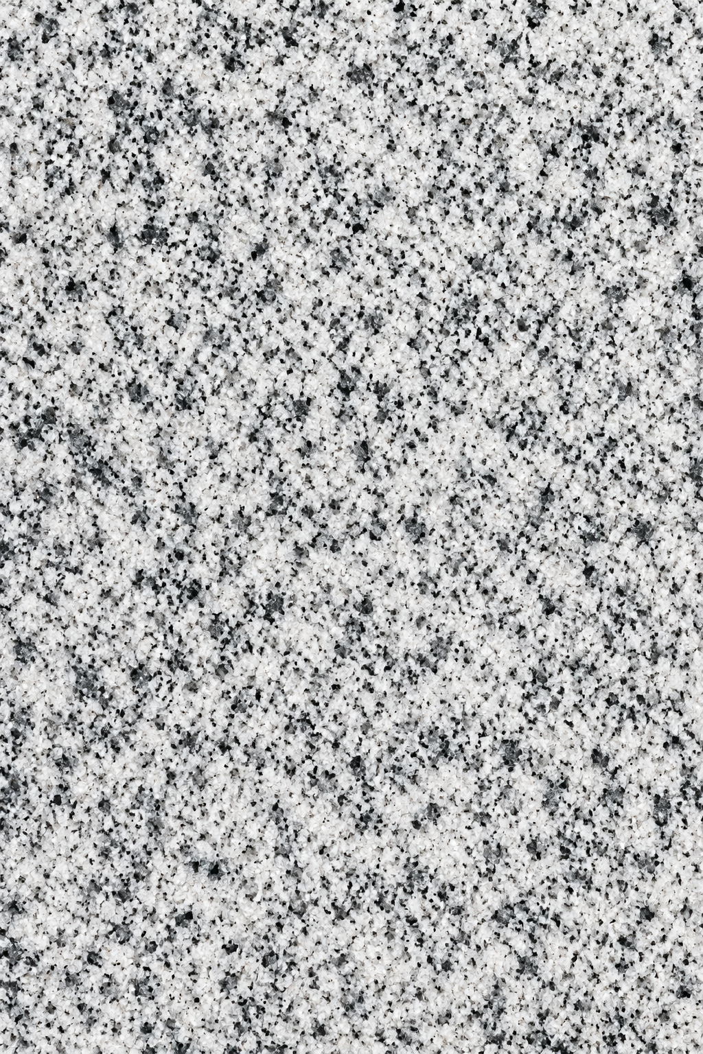sesame white sesame white
