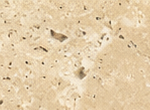 classic travertine